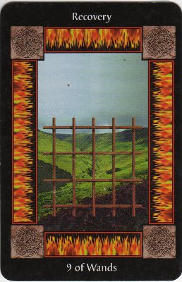 Picture of the 9 of Wands Card