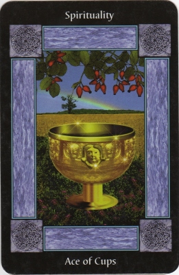 Picture of the Ace of Cups Card